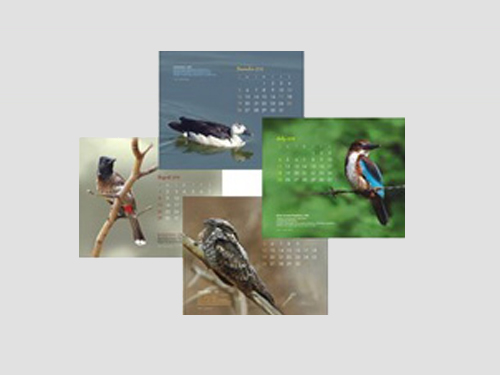 Bird Desk Calender